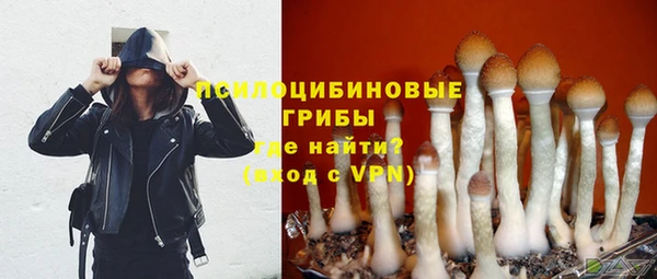 ПСИЛОЦИБИНОВЫЕ ГРИБЫ Наволоки