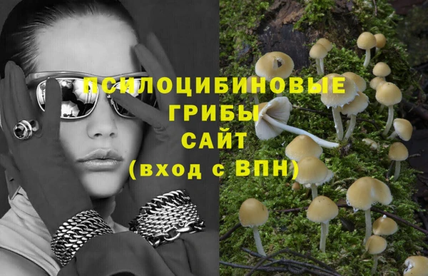ешки Нефтекумск