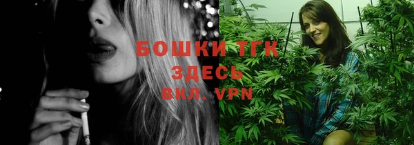 ПСИЛОЦИБИНОВЫЕ ГРИБЫ Наволоки