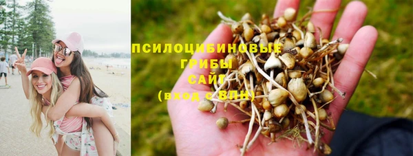 ПСИЛОЦИБИНОВЫЕ ГРИБЫ Наволоки