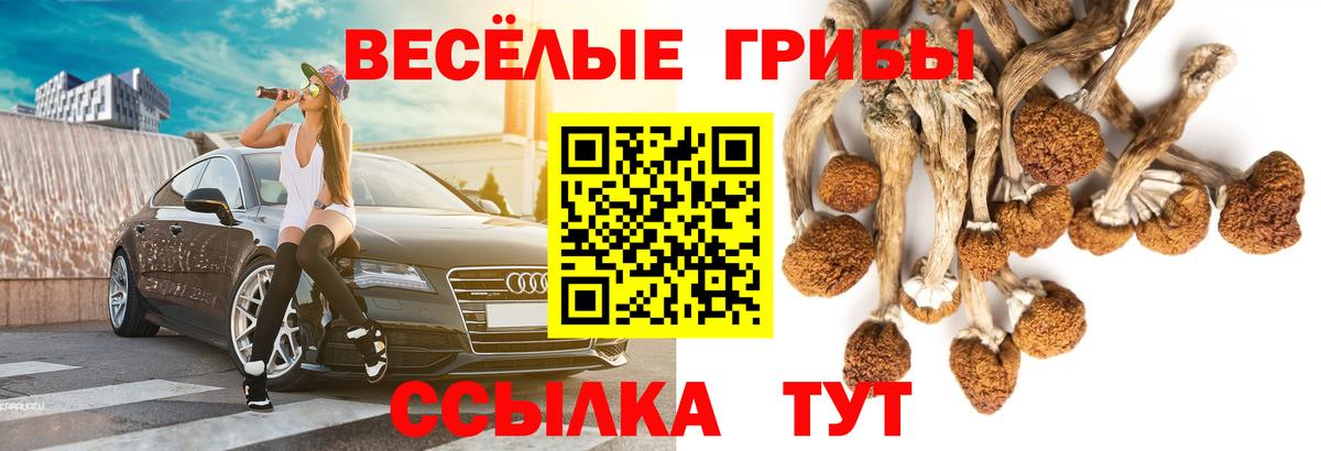 Галлюциногенные грибы мицелий Уварово